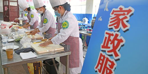 家政服務業(yè)亟待提質擴容 從“大而不優(yōu)”走向規(guī)范發(fā)展